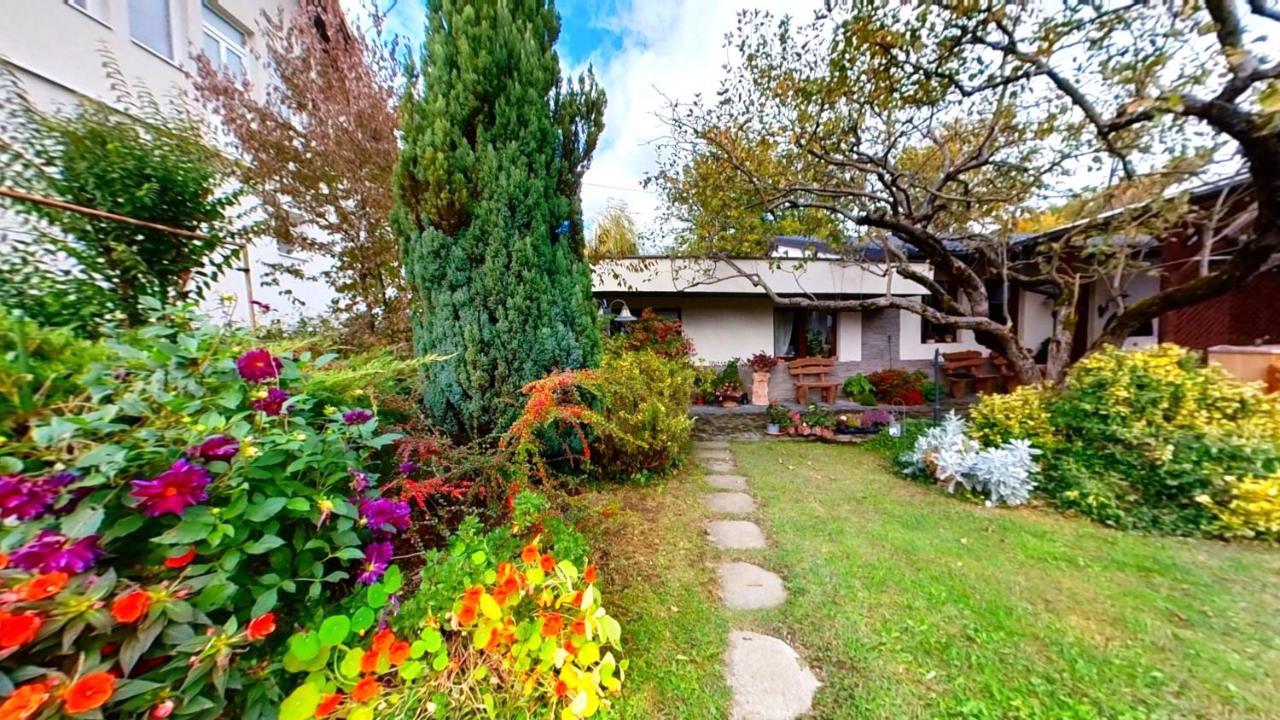"'Nu Ma Uita" Sovata Villa Luaran gambar