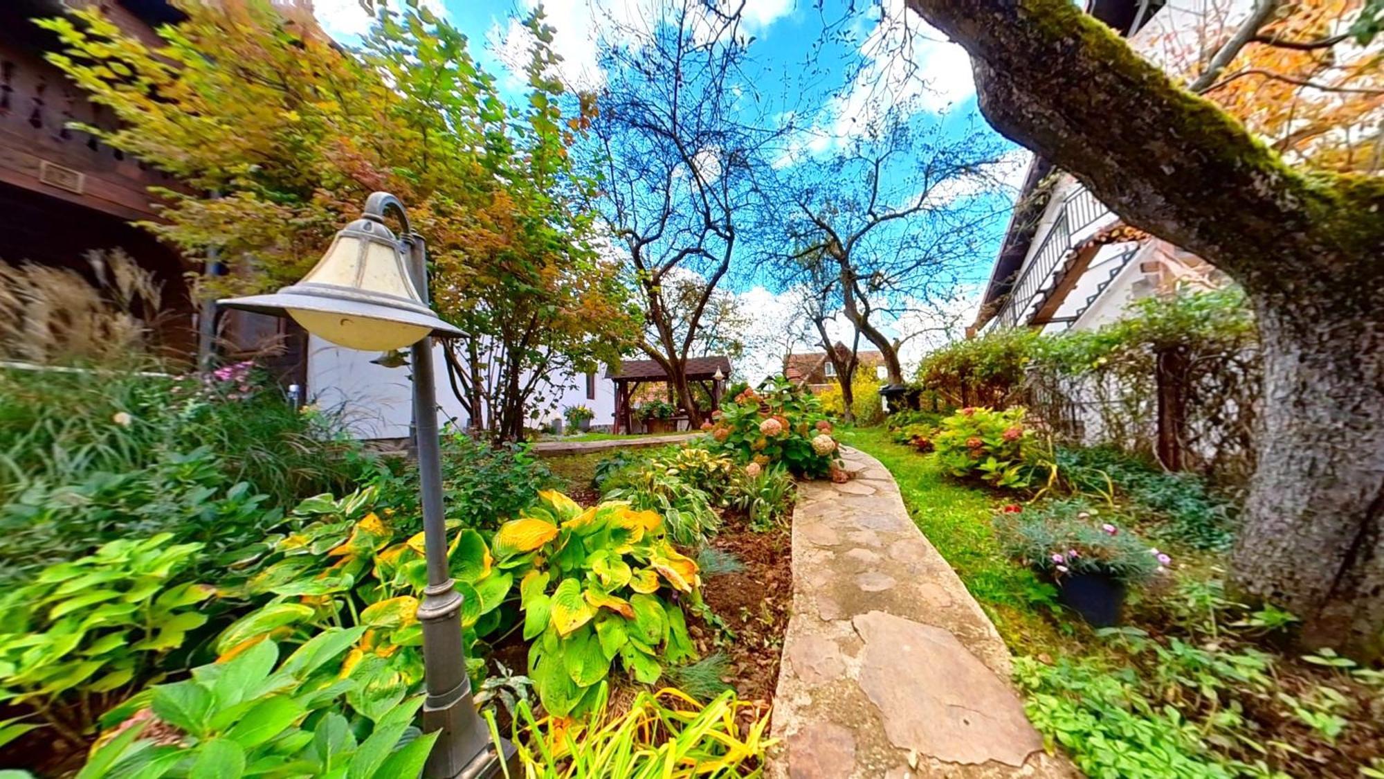 "'Nu Ma Uita" Sovata Villa Luaran gambar